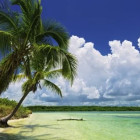 Puzzle - Heye - Palmový ráj - Panoramatické puzzle