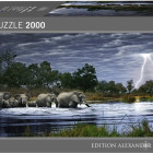 Puzzle - Heye - Sloní stádo - Panoramatické puzzle