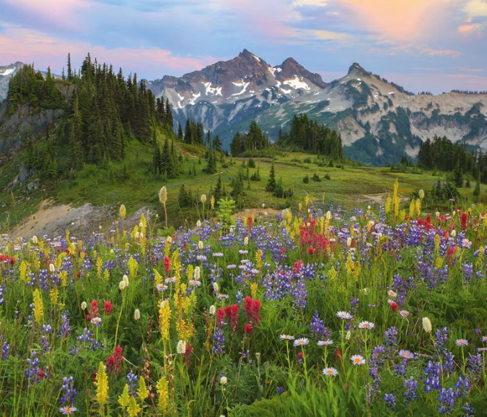 Puzzle - Heye - Pohoří Tatoosh