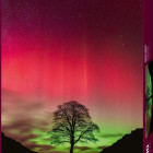 Puzzle - Heye - Strom Robina Hooda