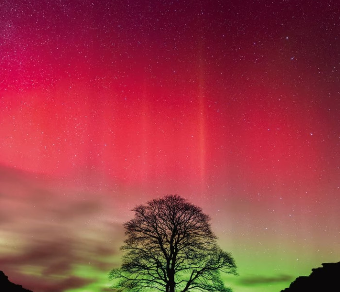 Puzzle - Heye - Strom Robina Hooda