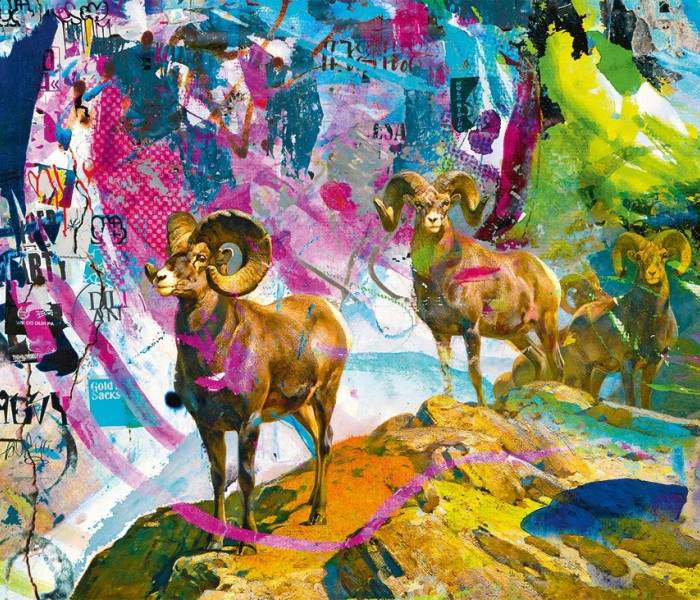 Puzzle - Heye - Velké rohy