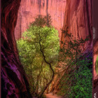 Puzzle - Heye - Zpívající kaňon