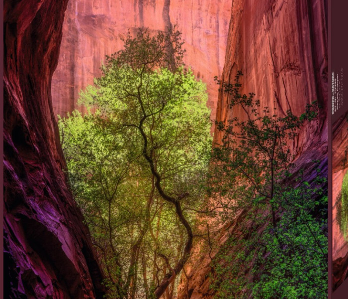 Puzzle - Heye - Zpívající kaňon