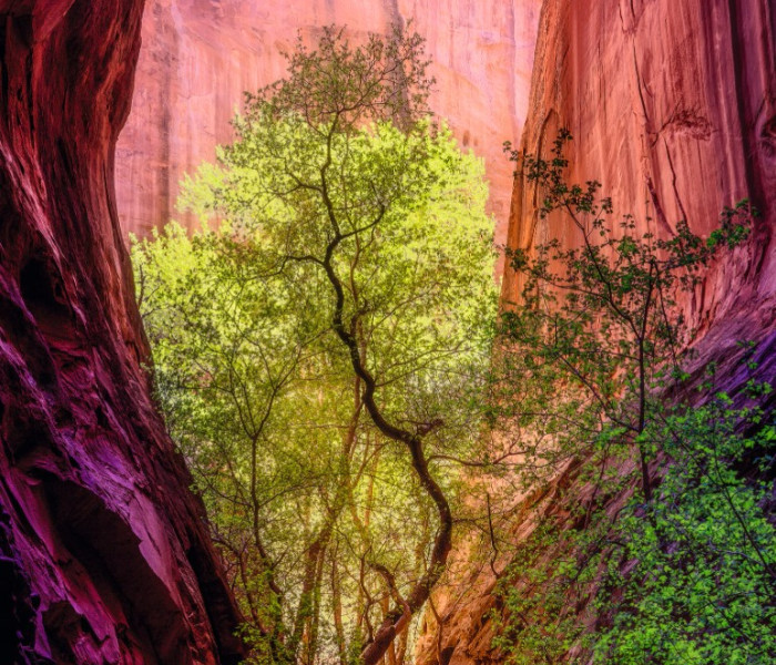 Puzzle - Heye - Zpívající kaňon