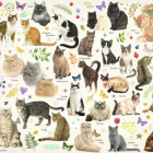 Puzzle - Jumbo - Kočky