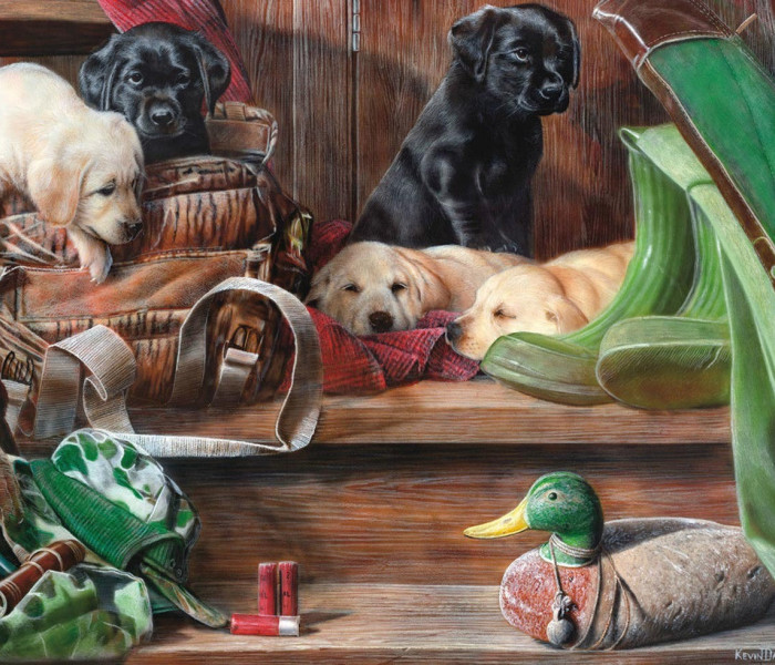 Puzzle - King - Štěňátka na schodech