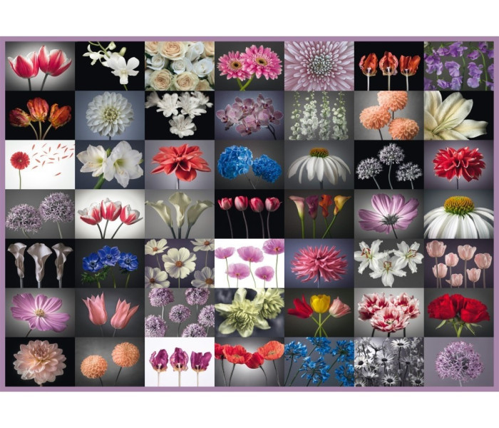 Puzzle - Schmidt - Květinové přání