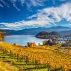 Puzzle - Schmidt - Vinice