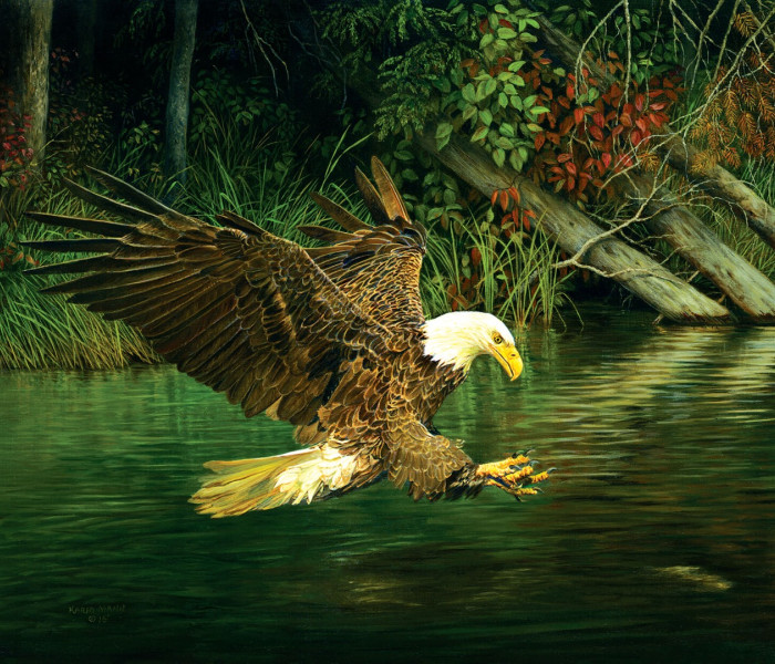 Puzzle - Sunsout - Orel na lovu