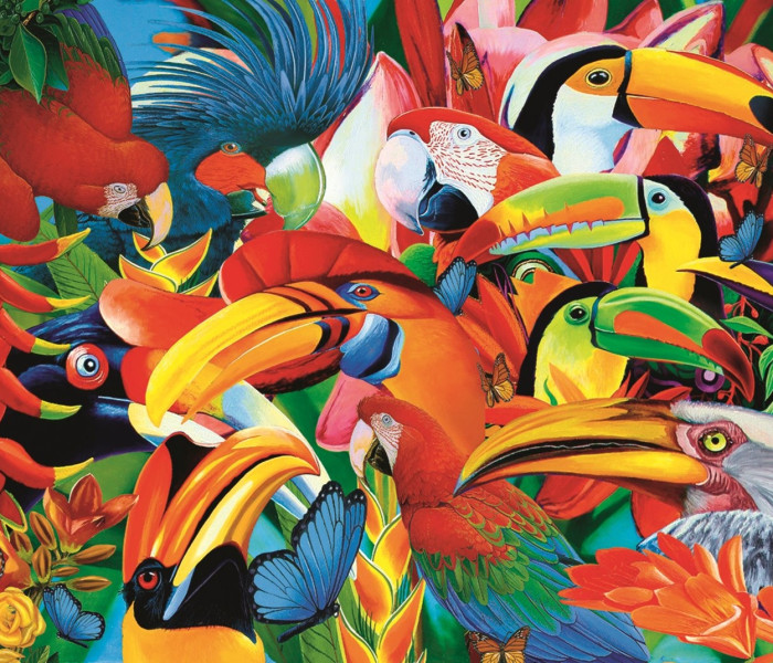 Puzzle - Trefl - Barevní ptáci