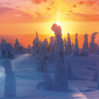 Puzzle - Trefl - Finská příroda