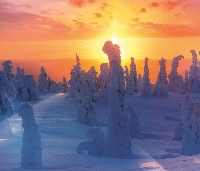 Puzzle - Trefl - Finská příroda