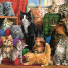 Puzzle - Trefl - Kočičí setkání