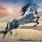 Puzzle - Trefl - Majestátní kůň