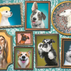 Puzzle - Trefl - Veselí psi