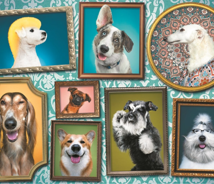 Puzzle - Trefl - Veselí psi