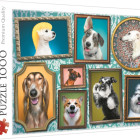 Puzzle - Trefl - Veselí psi