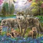 Puzzle - Trefl - Vlčí rodina