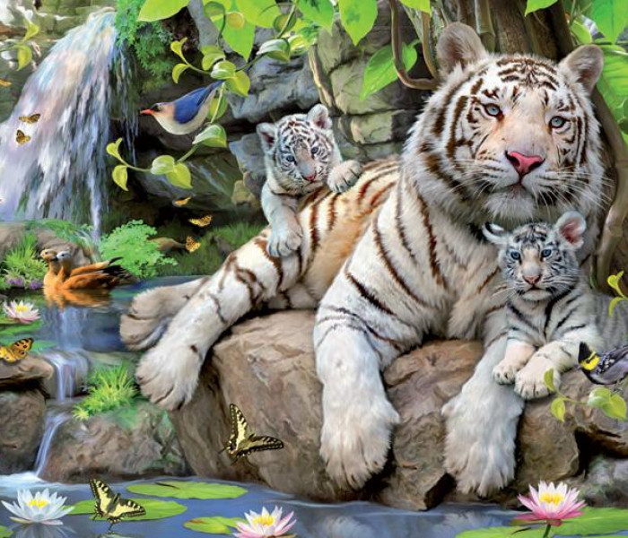 Puzzle - Educa - Bílí tygři