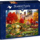 Puzzle - Bluebird - Central Park