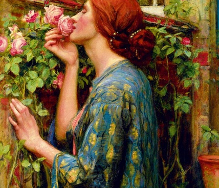 Puzzle - Bluebird - Duše růže