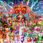 Puzzle - Bluebird - Noční cirkus