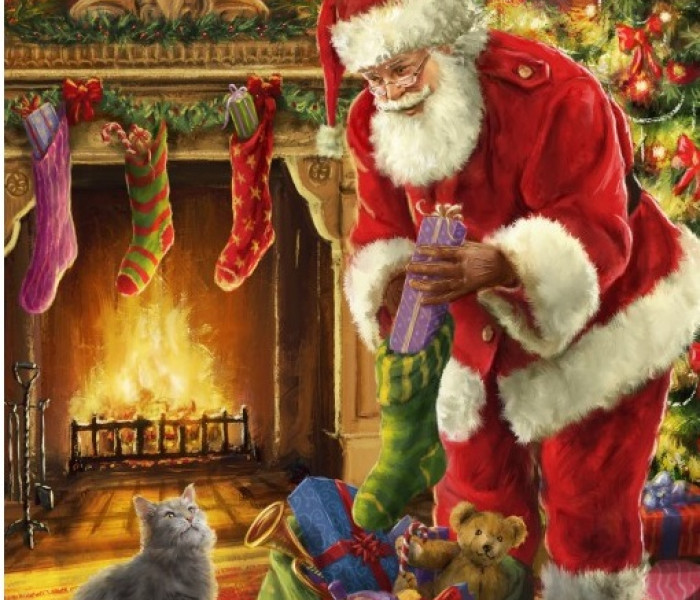 Puzzle - Bluebird - Santa přišel