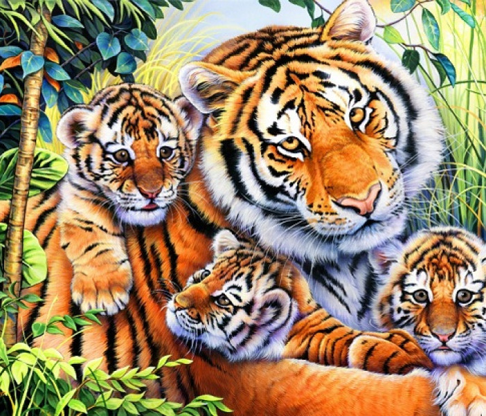 Puzzle - Bluebird - Tygří rodinka