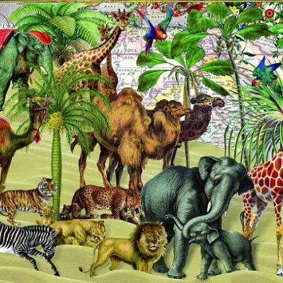 Zvířata na poušti