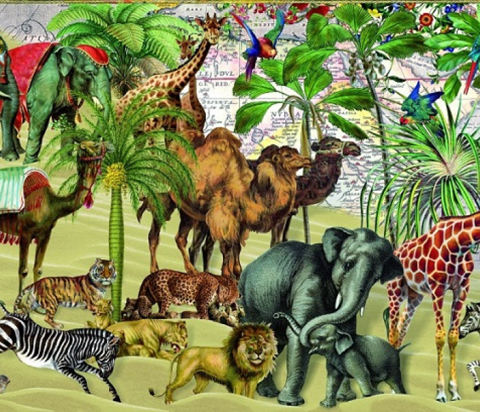 Puzzle - Bluebird - Zvířata na poušti