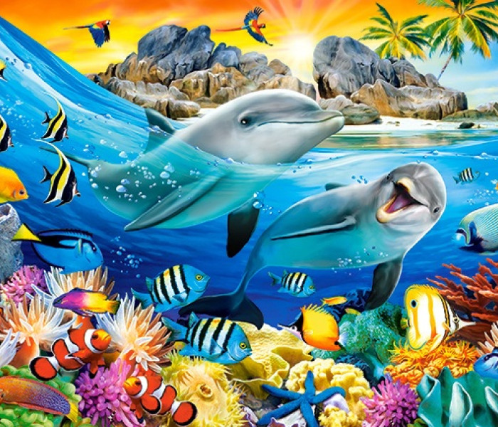 Puzzle - Castorland - Delfíni v tropech