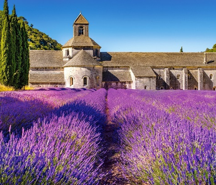 Puzzle - Castorland - Levandule v Provence