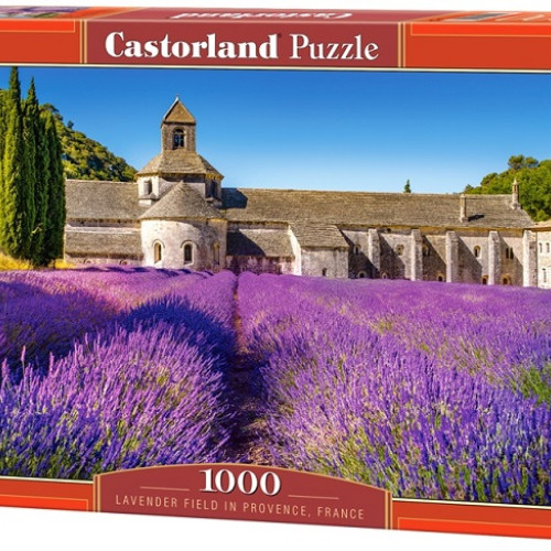 Levandule v Provence