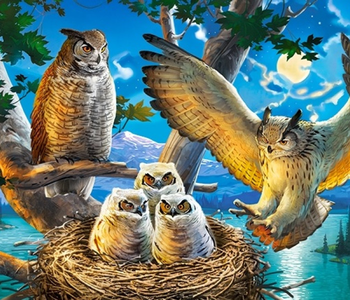 Puzzle - Castorland - Soví rodina