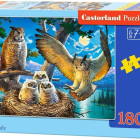Puzzle - Castorland - Soví rodina