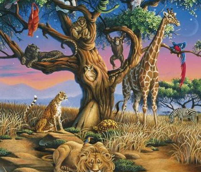 Puzzle - Clementoni - Africká divočina