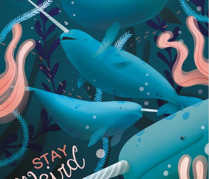 Puzzle - Clementoni - Narvalové