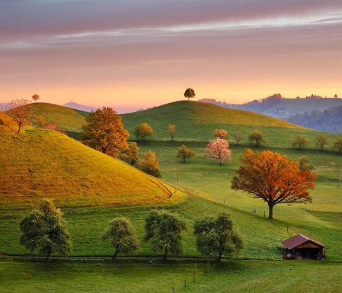 Puzzle - Dino - Pohádkový východ slunce