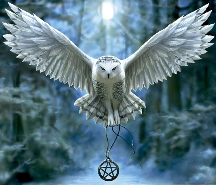 Puzzle - Educa - Probuď svoji magii