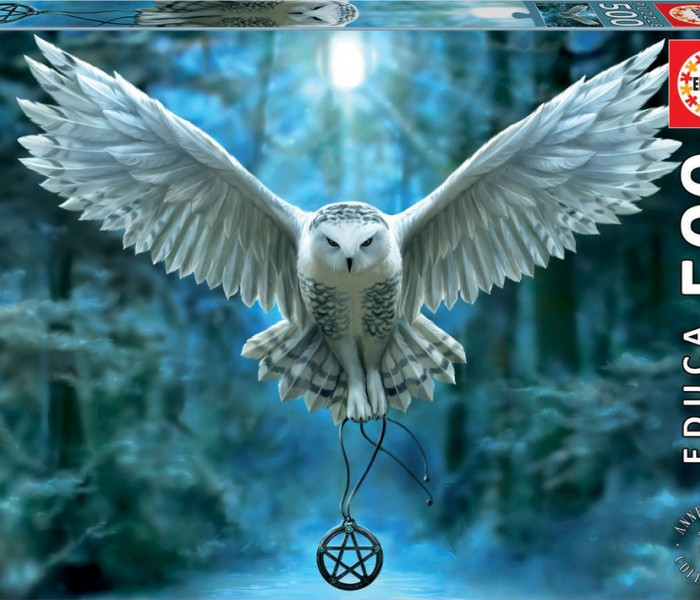 Puzzle - Educa - Probuď svoji magii