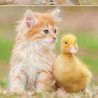 Puzzle - Educa - Rozkošní přátelé