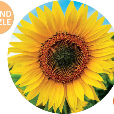 Slunečnice - Kulaté Puzzle
