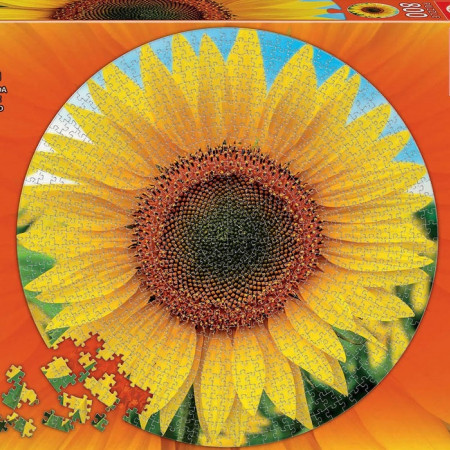 Slunečnice - Kulaté Puzzle