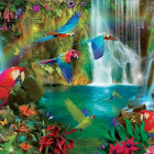 Puzzle - Educa - Tropičtí papoušci