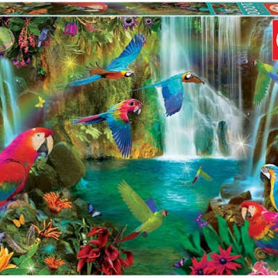 Tropičtí papoušci