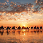 Puzzle - Educa - Zlatý západ slunce, Austrálie