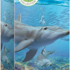 Puzzle - Eurographics - Delfíni