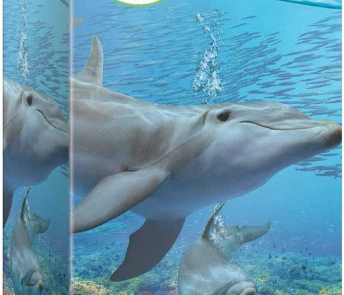 Puzzle - Eurographics - Delfíni