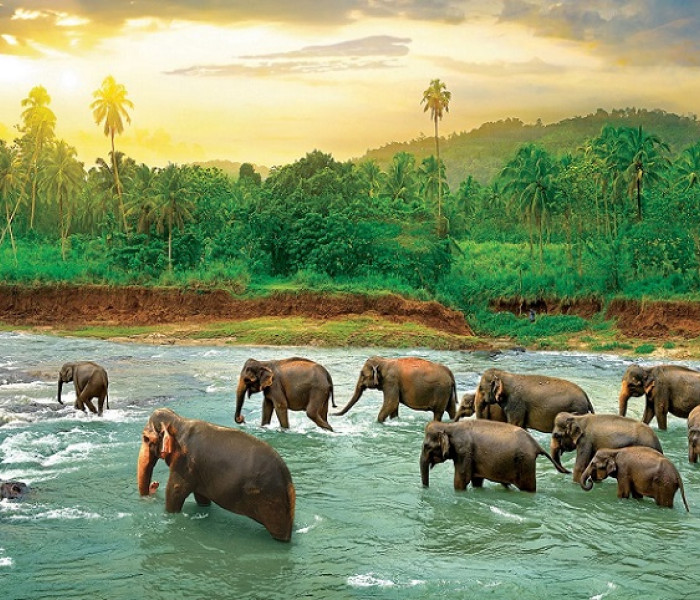 Puzzle - Eurographics - Sloni v řece